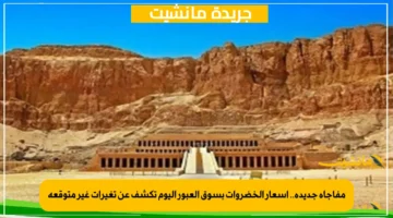 مفاجأة جديدة.. أسعار الخضروات بسوق العبور اليوم تكشف عن تغيرات غير متوقعة 1